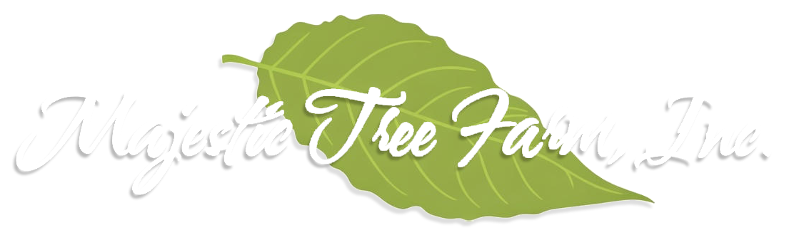 Logo of Majetta Tree Farm, featuring a green leaf and elegant white text for the farm's name.