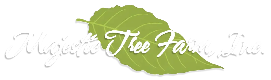 Logo of Majetta Tree Farm, featuring a green leaf and elegant white text for the farm's name.